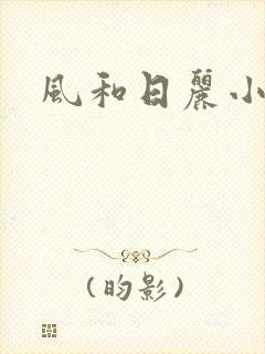 风和日丽小说