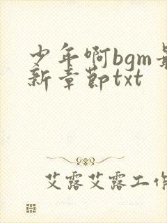 少年啊bgm最新章节txt