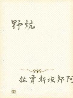 野炕