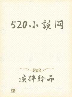 520小说网