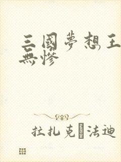 三国梦想王元姬无惨
