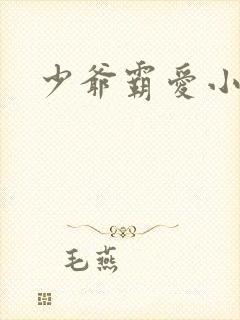 少爷霸爱小丫头