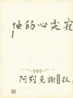 他的心尖宠1v1