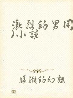 激烈的男同(h)小说