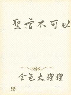 圣僧不可以