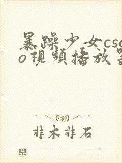 暴躁少女csgo视频播放器推荐