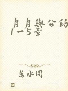 月月与公的激情1一5章