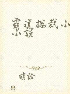 霸道总裁小娇妻小说