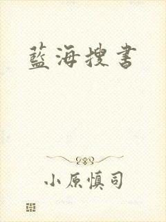 蓝海搜书
