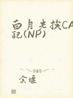 白月光挨CAO记(NP)