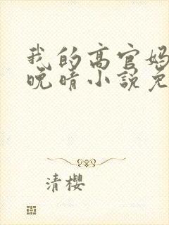 我的高官妈妈苏晚晴小说免费阅读