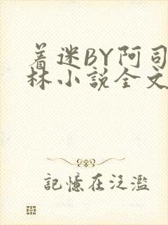 着迷BY阿司匹林小说全文免费阅读