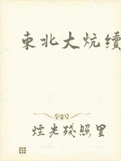 东北大炕续集
