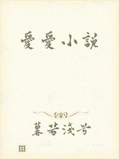 爱爱小说
