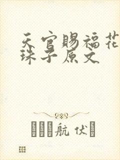 天官赐福花怜塞珠子原文
