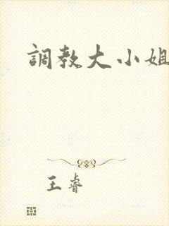 调教大小姐