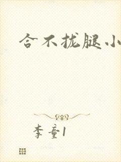 合不拢腿小说