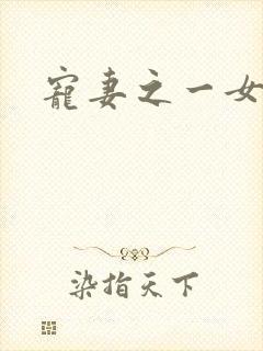 宠妻之一女二夫