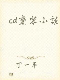 cd变装小说
