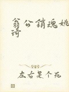 翁公销魂姚瑶琦琦