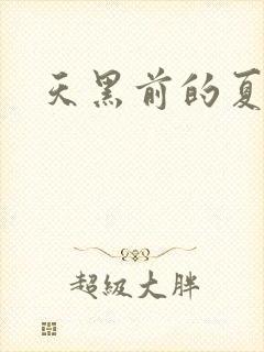 天黑前的夏天