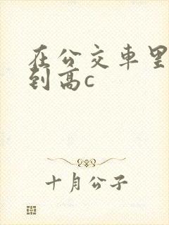 在公交车里c弄到高c