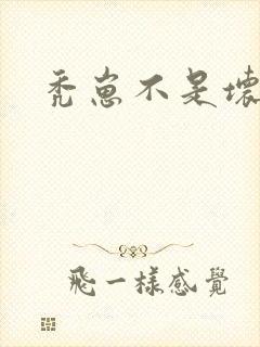 秃崽不是坏女人