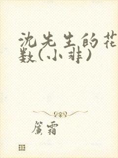 沈先生的花式调数(小非)