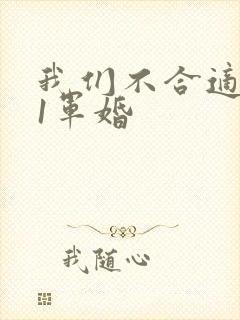 我们不合适1v1军婚
