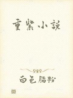 重紫小说