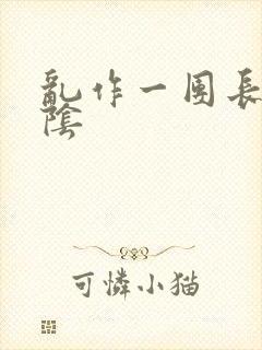 乱作一团长日光阴