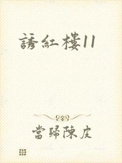 诱红楼11