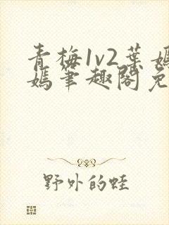 青梅1v2叶嫣嫣笔趣阁免费阅读