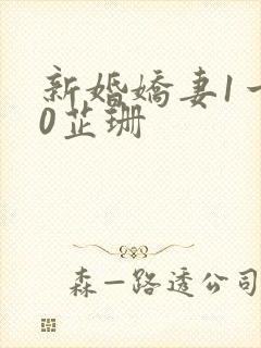 新婚娇妻1一40芷珊