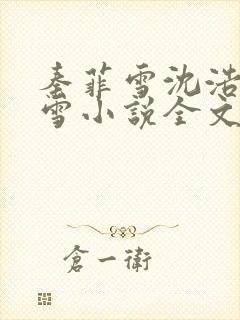 秦菲雪沈浩秦菲雪小说全文免费阅读求书