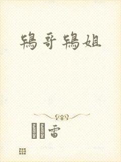 鸨哥鸨姐