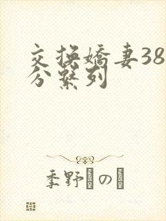 交换娇妻38部分系列