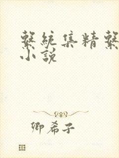 系统集精系统 小说