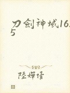 刀剑神域16.5