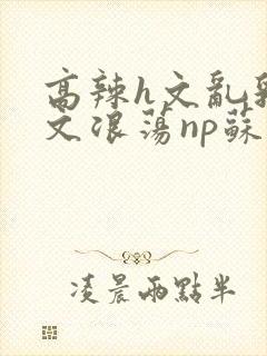 高辣h文乱乳h文浪荡np苏夏