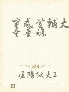 穿成首辅大人的童养媳