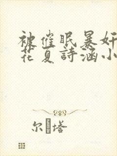 被催眠暴奸的校花夏诗涵小说