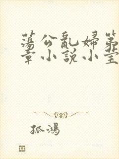 荡公乱妇第51章小说小莹
