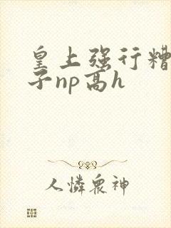 皇上强行糟蹋太子np高h