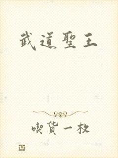武道圣王