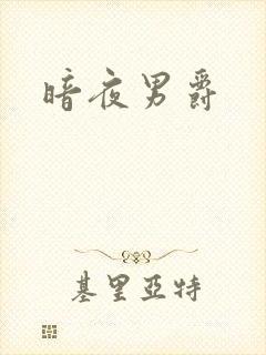 暗夜男爵