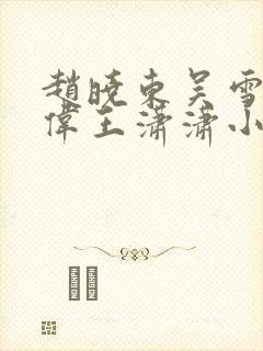 赵晓东吴雪晴郑伟王潇潇小说名字