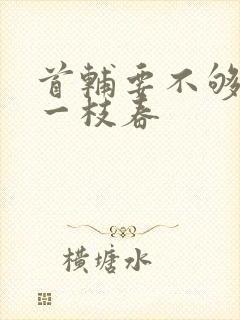 首辅要不够po一枝春