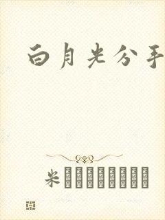 白月光分手日常