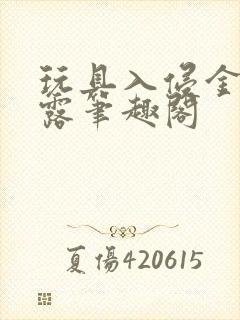 玩具入侵金银花露笔趣阁